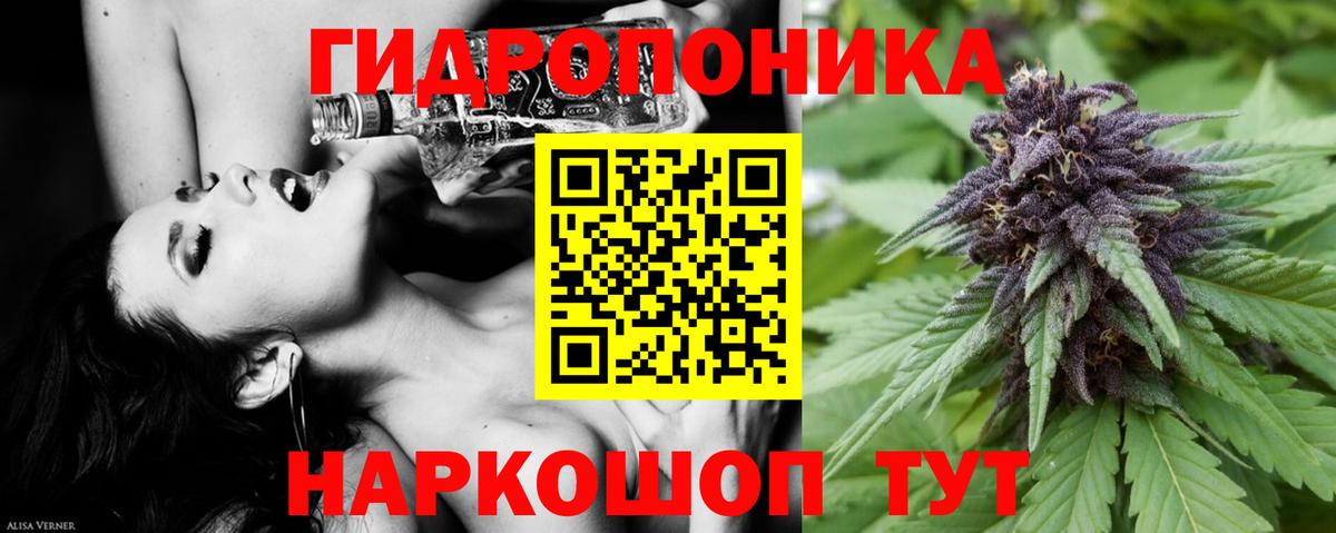 Марихуана Bruce Banner  Вход с VPN  Махачкала  Марихуана гибрид  Бошки марихуана VHQ 
